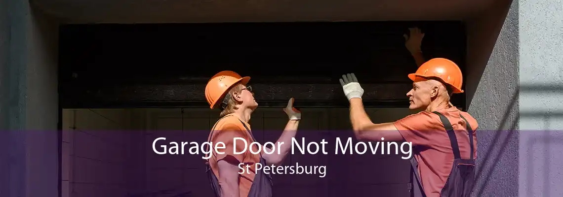 Garage Door Not Moving St Petersburg